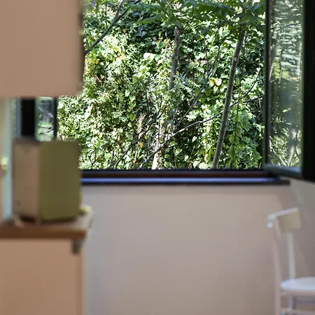 Valley Mills Window Sorrento