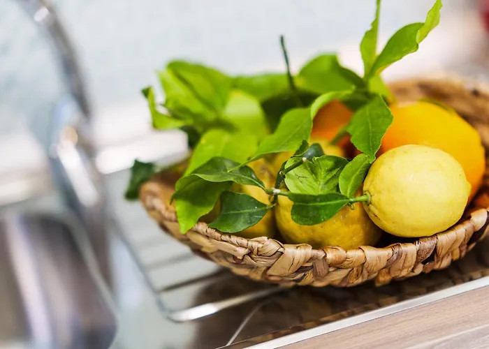 Valley Mills Window Daire Sorrento