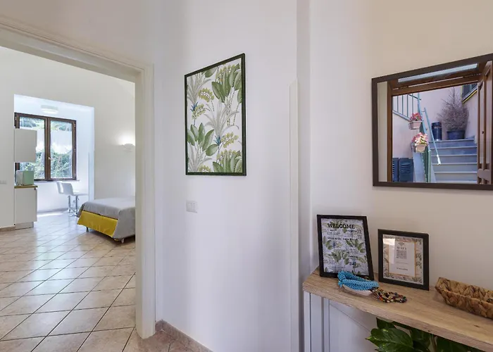 Valley Mills Window Daire *